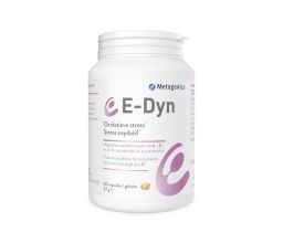 E-Dyn